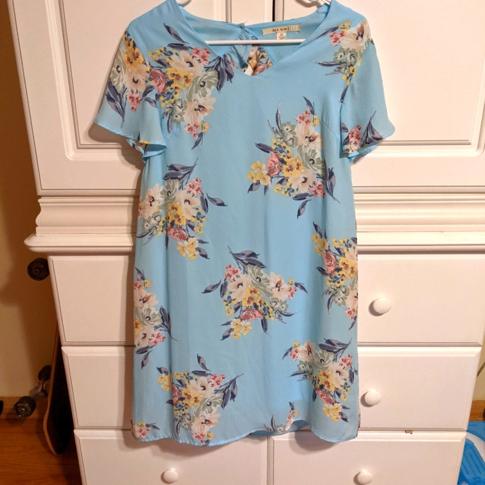 Francesca's Light Blue Floral Sheath Dress